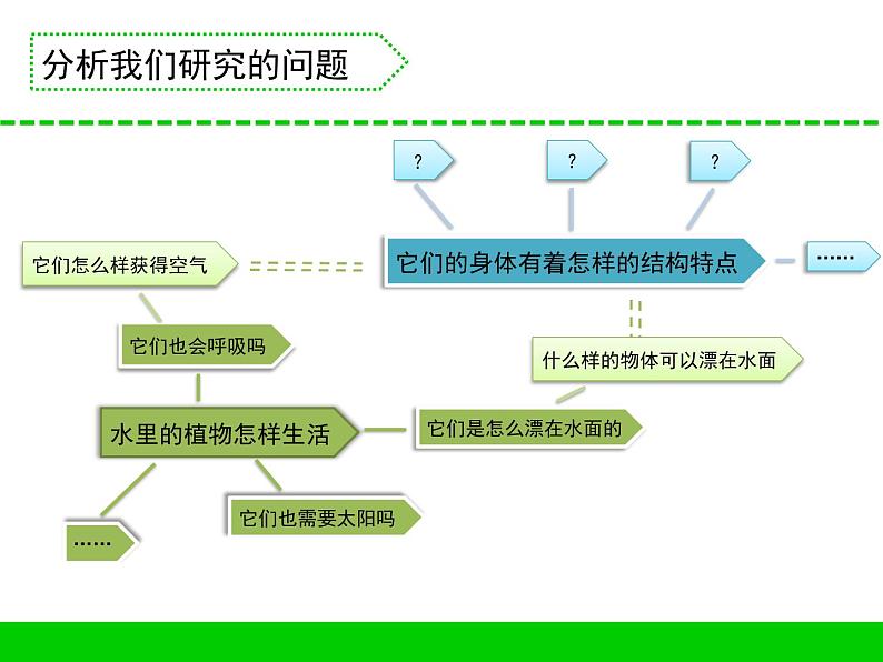 7.水里的植物（贵州  朱莎）第5页