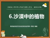 苏教版三年级下册科学6.沙漠中的植物）课件+教案+素材+实验记录单