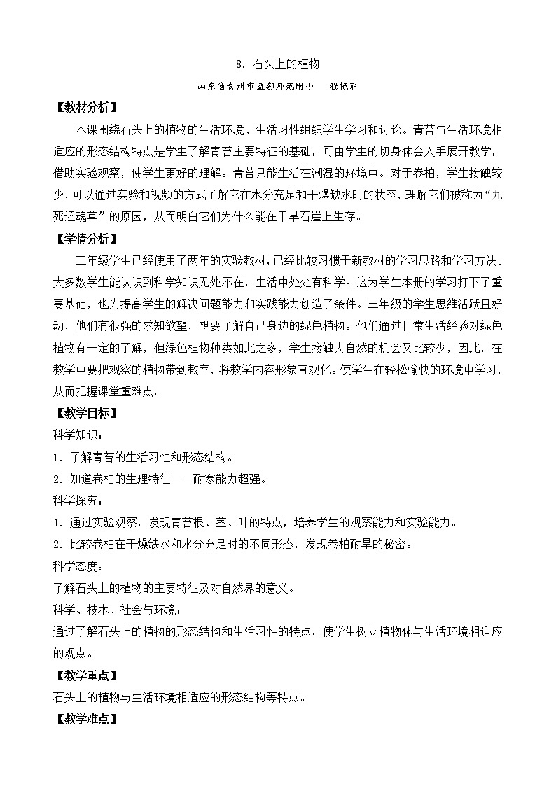 8.石头上的植物（山东  程艳丽）第1页