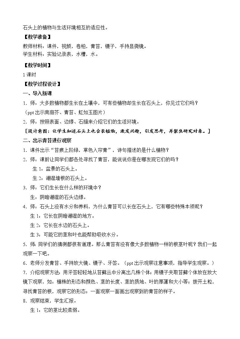 8.石头上的植物（山东  程艳丽）第2页