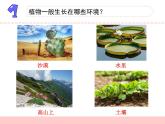 苏教版三年级下册科学7.水里的植物（课件+教案+素材+实验记录单