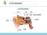 蘇教版三年級下冊科學(xué)10.聲音的傳播課件+教案+素材+實驗記錄單