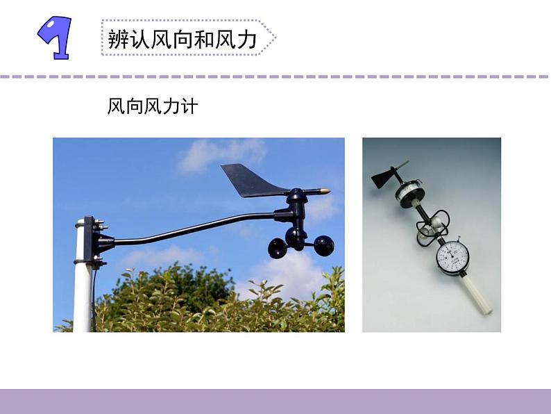 苏教版三年级下册科学18.风向和风力（课件+教案+素材+实验记录单04