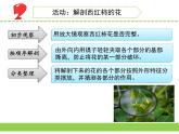 蘇教版三年級(jí)下冊(cè)科學(xué)3.植物開(kāi)花了（（第一課時(shí)）課件+教案+素材+實(shí)驗(yàn)記錄單
