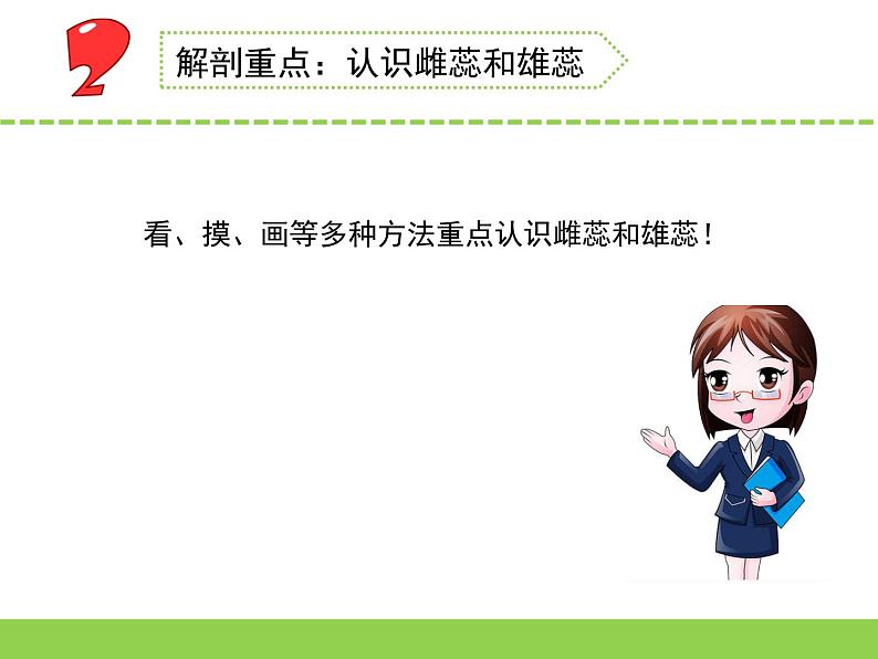 3.植物开花了（青州  崔桂娟）（第一课时）第7页