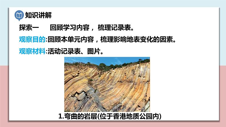 五年级科学上册2.7《总结我们的认识》课件第3页