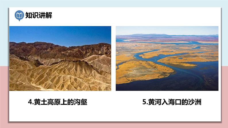 五年级科学上册2.7《总结我们的认识》课件第5页