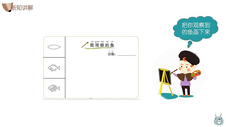 教科版科学一年级2.5《观察鱼》课件+教案+视频07