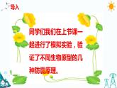 5.5我们的空投包（课件+课时练）