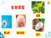 5.5我们的空投包（课件+课时练）