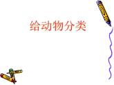 教科版（2017秋）一年级下册科学2.6 给动物分类（课件共11张PPT）