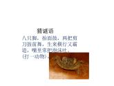 教科版（2017秋）一年级下册科学2.6 给动物分类（课件共11张PPT）
