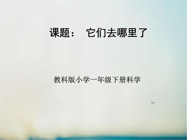 教科版（2017秋）一年级下册科学课件 - 1.6 它们去哪里了 （课件共13张PPT）01