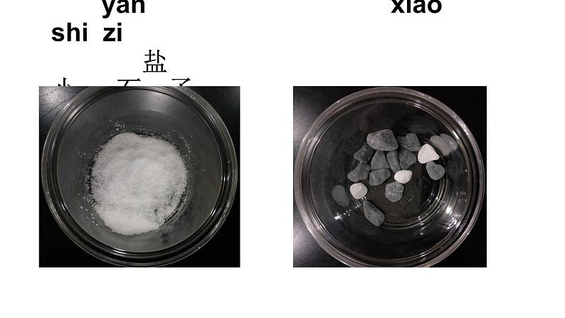 一年级下册科学课件-1.6它们去哪里了-教科版（2017）第2页