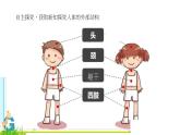 教科版（2017秋）科学 二年级下册 2.1观察我们的身体 课件（共11张PPT）