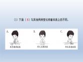 教科版（2017秋）三年级上册科学 1.8它们发生了什么变化 习题演练（课件13ppt） 试卷练习
