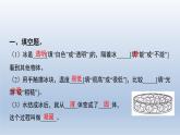 教科版（2017秋）三年级上册科学 1.3水结冰了 习题演练（课件13ppt） 试卷练习
