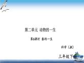 2020新教科版三年级下册科学第6课时蚕的一生练习题课件（9张PPT） 试卷