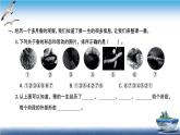 2020新教科版三年级下册科学第6课时蚕的一生练习题课件（9张PPT） 试卷