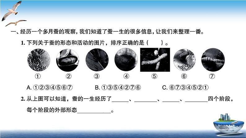 2020新教科版三年级下册科学第6课时蚕的一生练习题课件（9张PPT） 试卷02