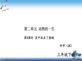 2020新教科版三年级下册科学第5课时茧中钻出了蚕蛾练习题课件（8张PPT） 试卷