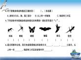 2020新教科版三年级下册科学第5课时茧中钻出了蚕蛾练习题课件（8张PPT） 试卷