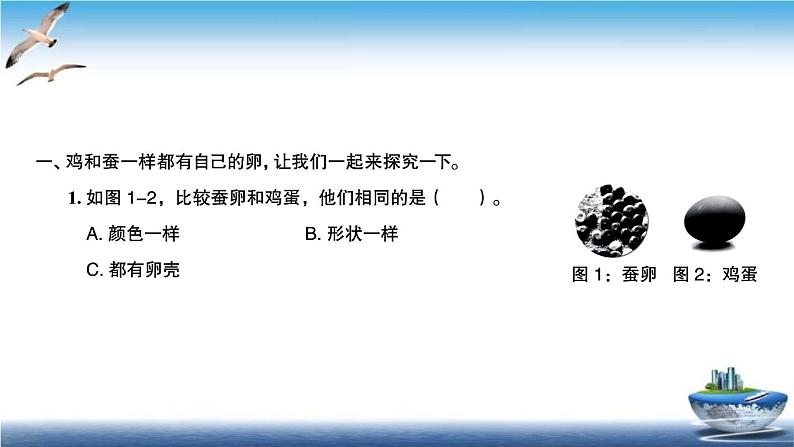 2020新教科版三年级下册科学第2课时认识其他动物的卵练习题课件（10张PPT） 试卷02