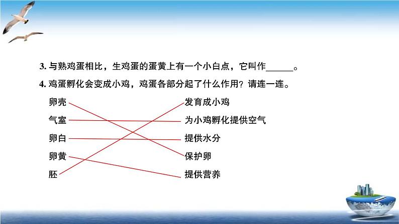 2020新教科版三年级下册科学第2课时认识其他动物的卵练习题课件（10张PPT） 试卷04