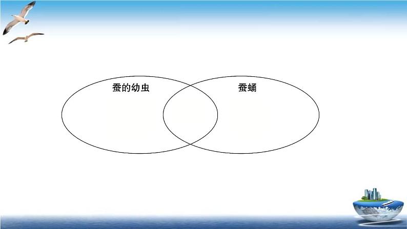 2020新教科版三年级下册科学第4课时蚕变了新模样练习题课件（9张PPT） 试卷04