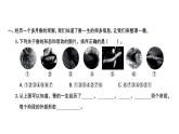 教科版（2017秋） 三年级下册2.6蚕的一生   训练（课件9ppt） 练习