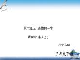 2020新教科版三年级下册科学第3课时蚕长大了练习题课件（9张PPT） 试卷