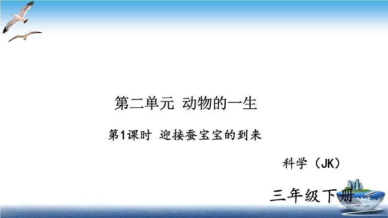 2020新教科版三年级下册科学第1课时迎接蚕宝宝的到来练习题课件（6张PPT） 试卷01