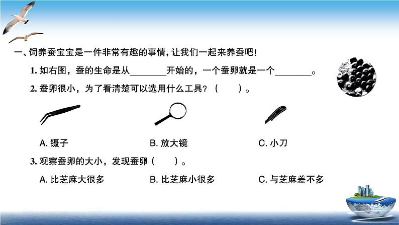 2020新教科版三年级下册科学第1课时迎接蚕宝宝的到来练习题课件（6张PPT） 试卷02