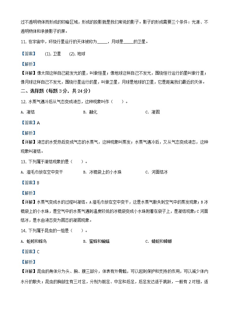 期中试卷12（解析版）第3页