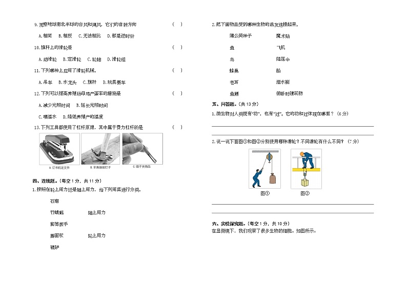 苏教版五年级下册科学期末试卷5（含答案）第2页