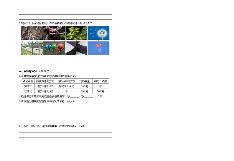 苏教版五年级下册科学期末试卷10（含答案）第3页