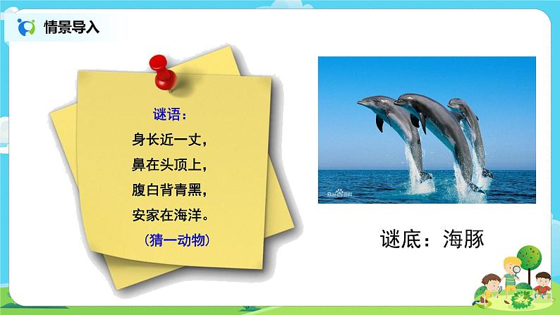 粤教版科学三上1.5《海洋里的动物》课件第3页