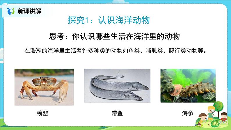 粤教版科学三上1.5《海洋里的动物》课件第4页