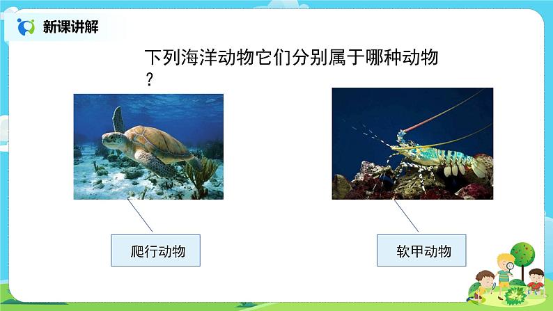 粤教版科学三上1.5《海洋里的动物》课件第5页