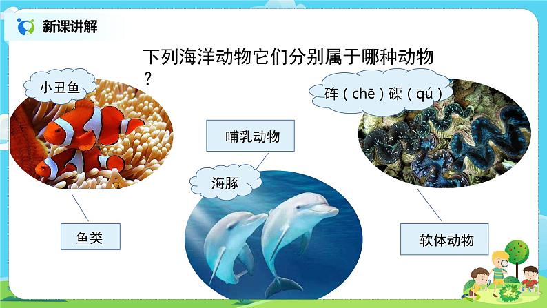 粤教版科学三上1.5《海洋里的动物》课件第6页