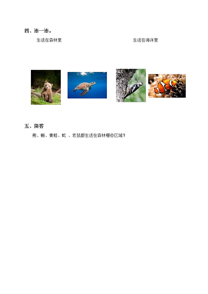 粤教版科学三上1.6《森林里的动物》课件+教案+同步练习02