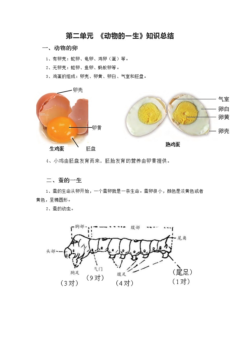 教科版  科学三年级下册  第二单元《动物的一生》知识总结第1页