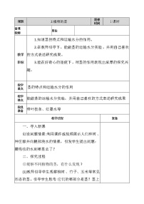 小学科学青岛版 (五四制2017)三年级上册2 植物的茎教案