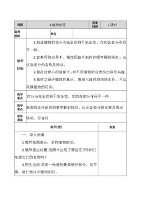 科学三年级上册第一单元 植物的“身体”4 植物的花教学设计