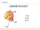 第15课《大脑的作用》课件+教案