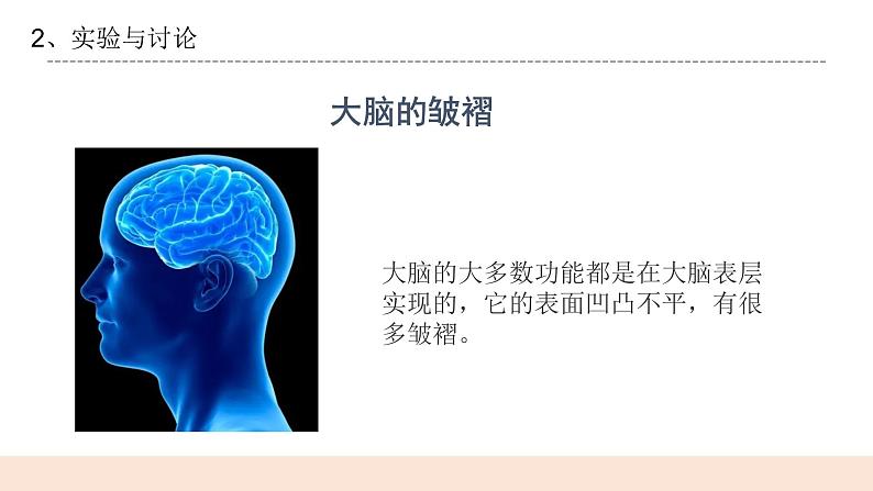 3.2《大脑的作用》课件第7页
