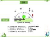 教科版科学三年级3.3《影子的秘密》课件+教案+视频