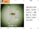科技社团第3课《水面的秘密》 课件