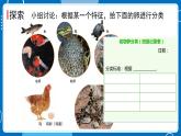 三年级下册科学《认识其他动物的卵》（课件+教案+课后反思）