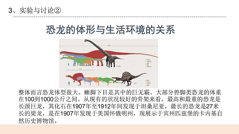 第23课《网上学习：探索恐龙灭绝的原因》课件+教案08